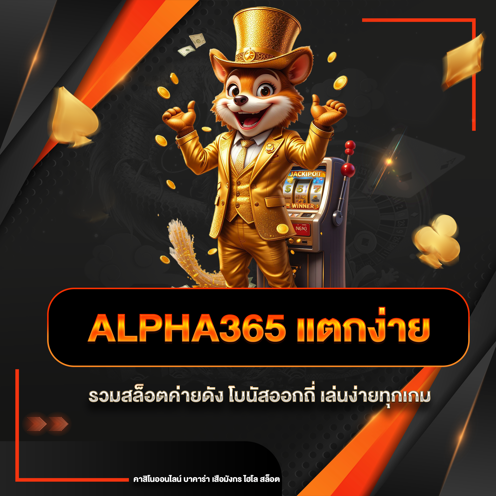 alpha365 แตกง่าย